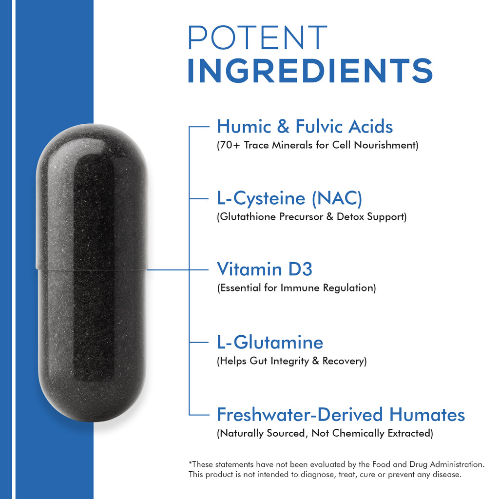 iRemember Daily Wellness Activator – Fulvic & Humic Minerals with NAC, Vitamin D3 & L-Glutamine | Supports Immune Health, Cellular Balance & Daily Vitality | 120 Vegan Capsules.