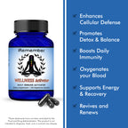 iRemember Daily Wellness Activator – Fulvic & Humic Minerals with NAC, Vitamin D3 & L-Glutamine | Supports Immune Health, Cellular Balance & Daily Vitality | 120 Vegan Capsules.